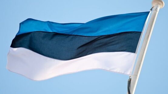 e-Estonia: Thoughts on a digital society