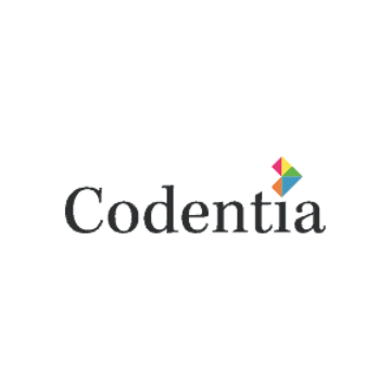 Software developer