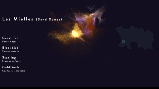 Birdsongs Digital Design Challenge 2020 winner