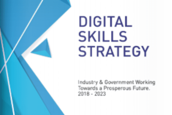Digital Skills Strategy