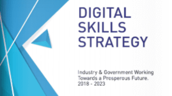 Digital Skills Strategy