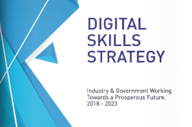 Digital Skills Strategy report cover
