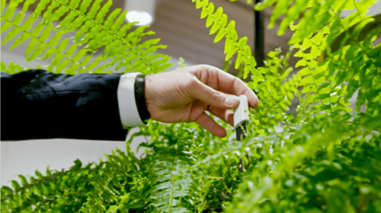 Talking plants at the Digital Jersey Hub