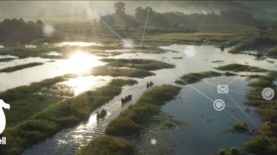 Prosperity 24/7 creates sustainable technology ecosystem for Durrell