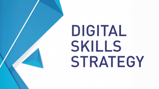 Digital Skills Strategy