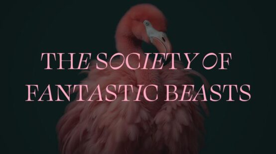 Marshall Pictures // Society of Fantastic Beasts