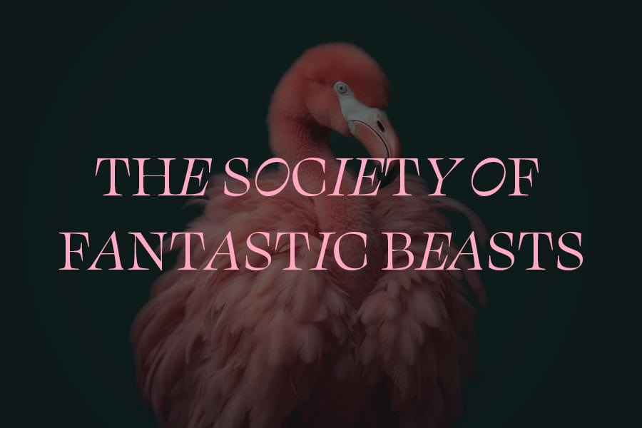 Marshall Pictures // Society of Fantastic Beasts