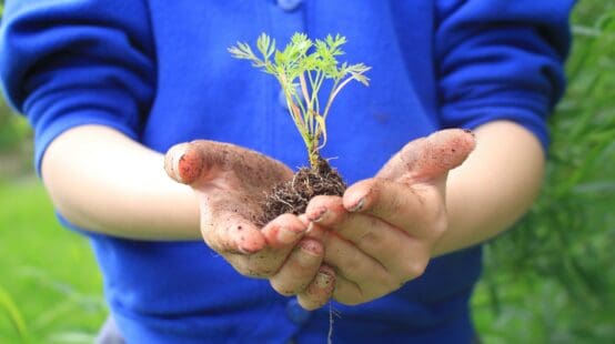 KPMG in the Crown Dependencies Sponsors Rainbow Allotment Project