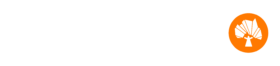 4G Capital